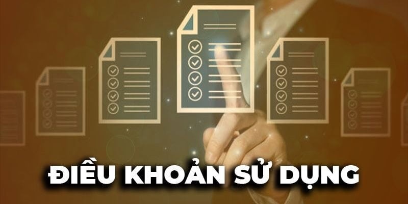 dieu-khoan-su-dung-ve-hanh-vi-nguoi-choi-duoc-quy-dinh-ro